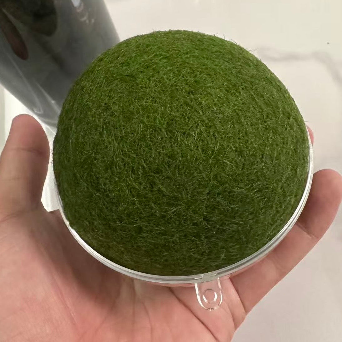 Sample Marimo Moss Balls Multiple Size - Authentic Japanese Moss Balls