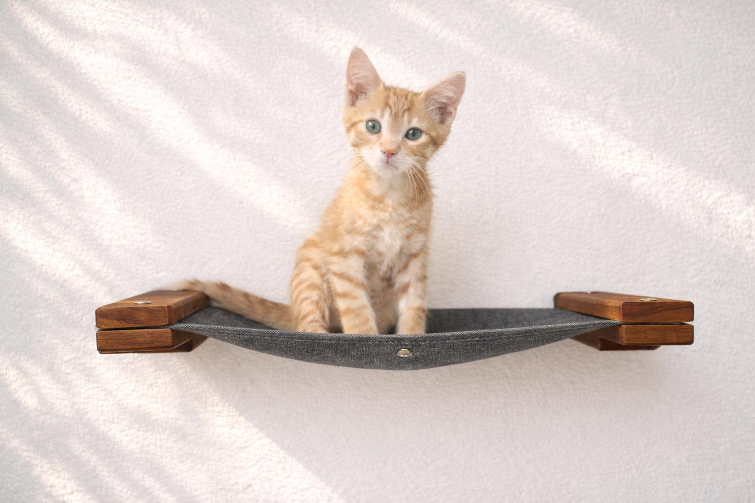 Hanging Cat Bed Hammock