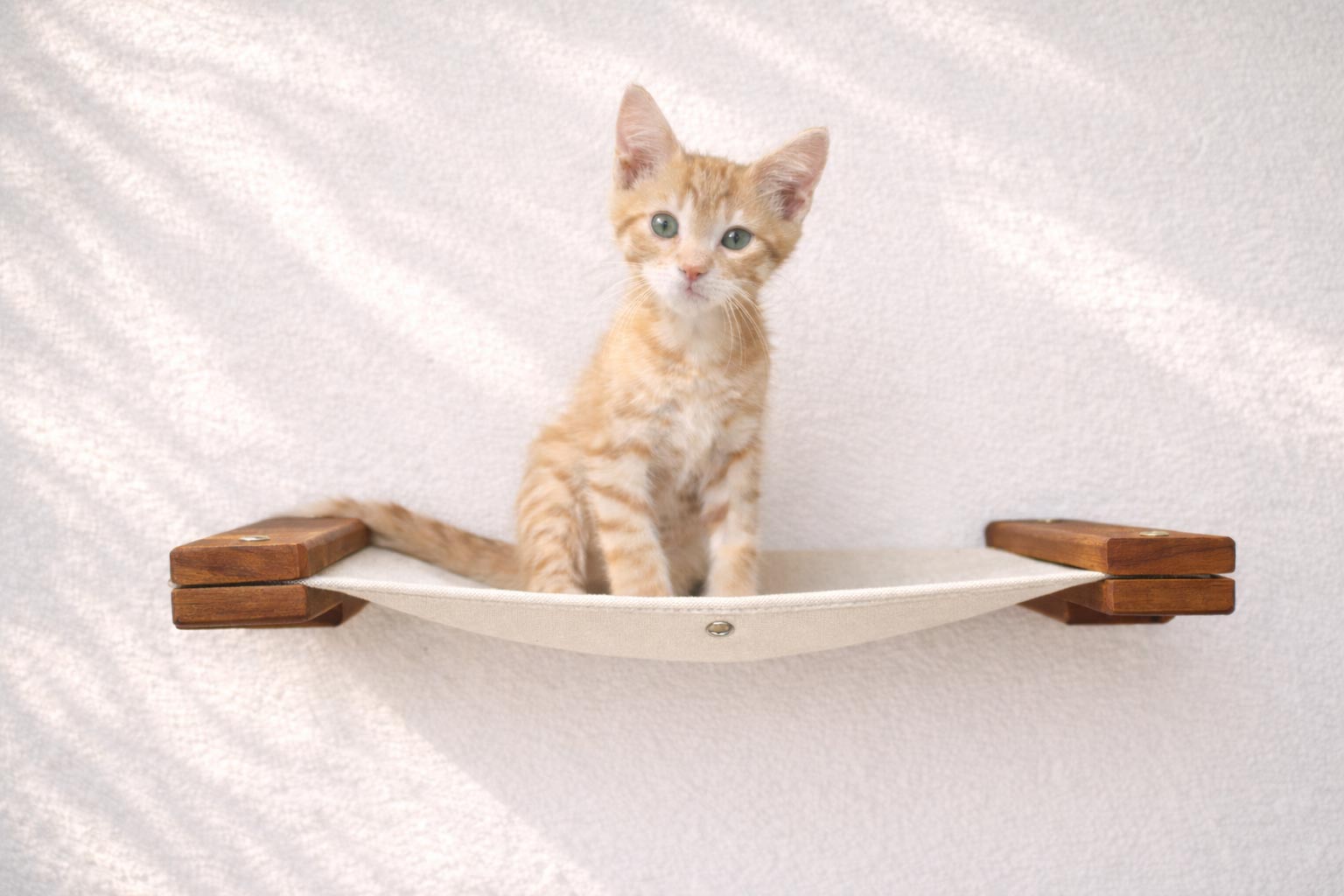Hanging Cat Bed Hammock