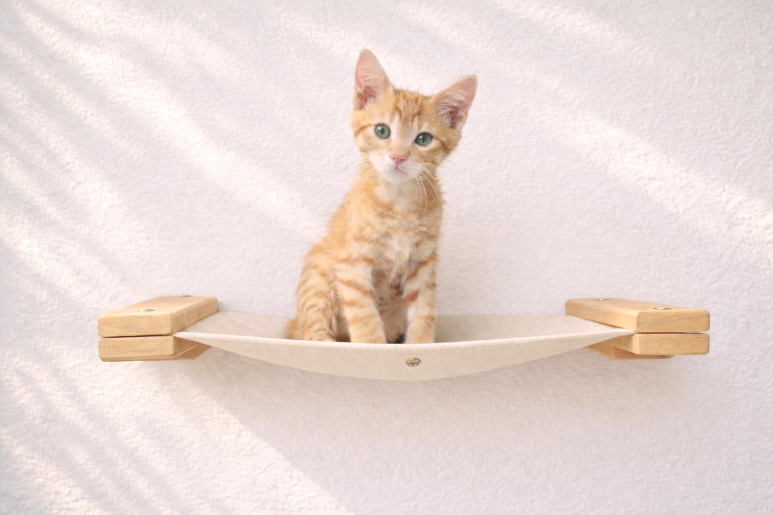 Hanging Cat Bed Hammock