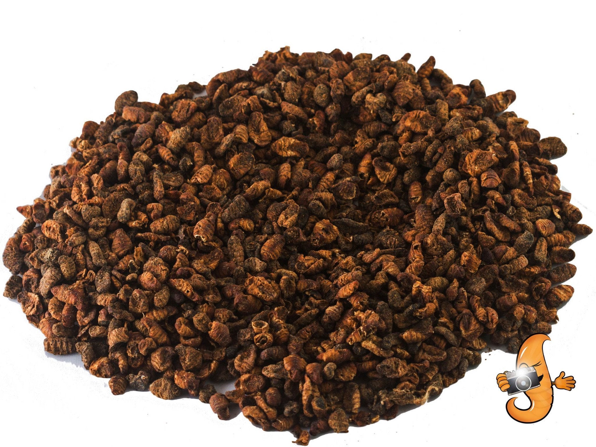 11lb Chubby Dried Silkworm Pupae