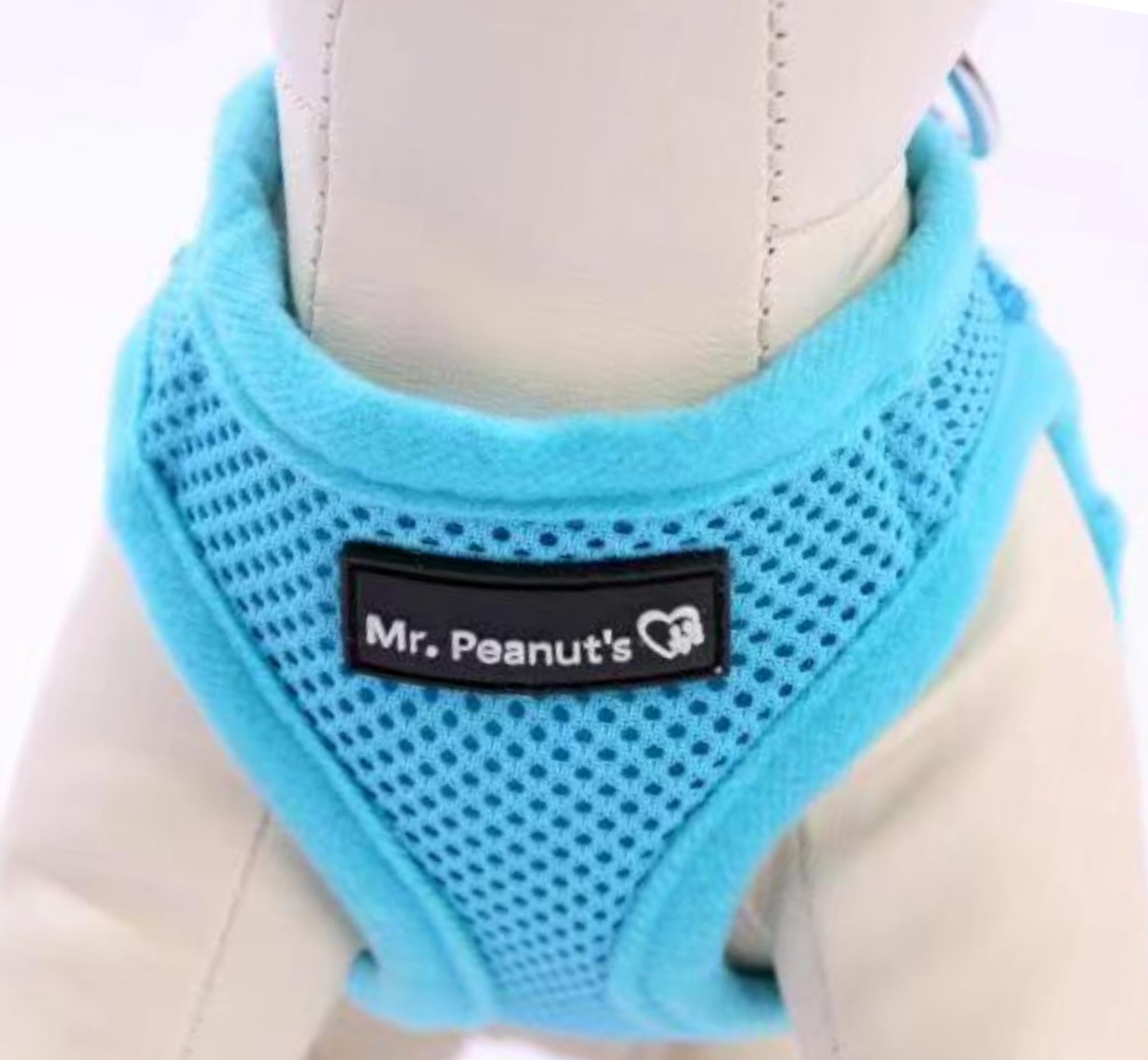 Mr. Peanut's PupTrek Soft Mesh Pet Harness with Matching Leash – Adjustable, Breathable, Choke-Free