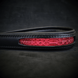 The ''Red Dragon'' leash