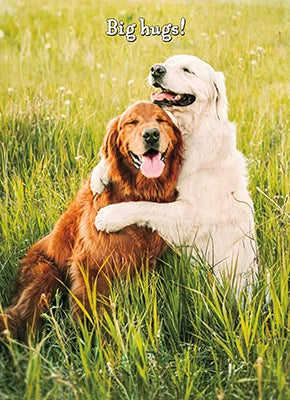 Avanti Golden Retriever Friends Greeting Card