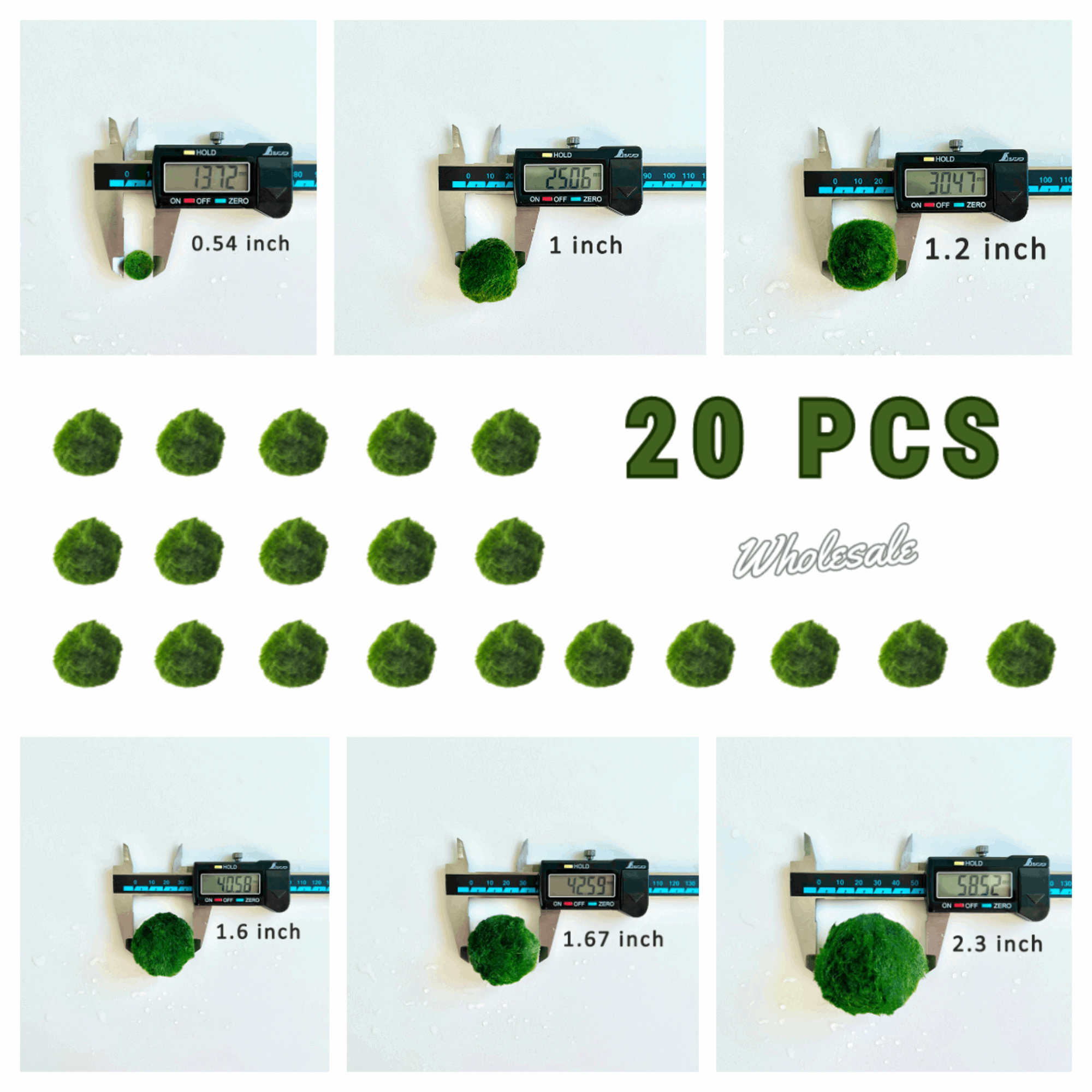 Marimo Moss Ball Aquarium 6-12 Month 0.8-1.5cm Marimo Moss Balls: 5/10/20/50PCS