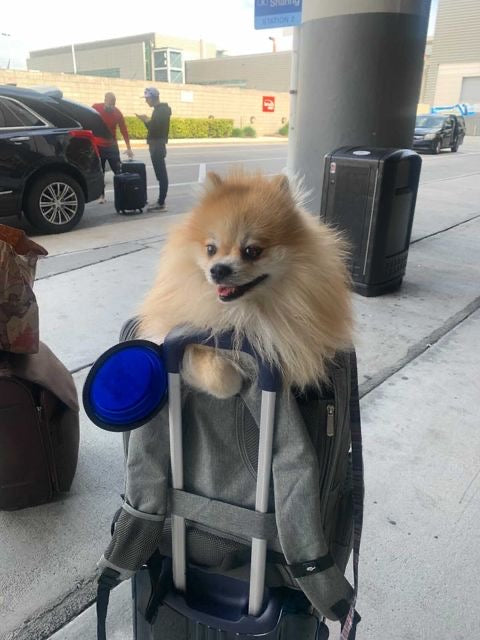 Mr. Peanut's Aspen Series Airline Compliant Backpack Pet Carrier