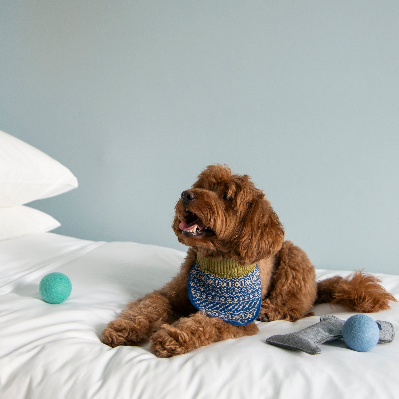 Nooee Pet Wool Toy Ball Set (4 cm)