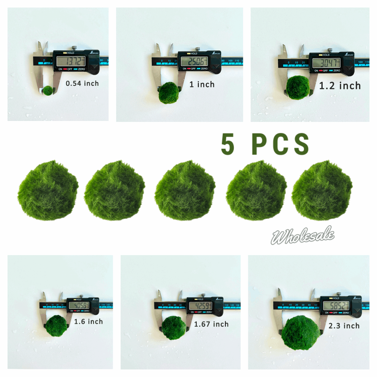 Marimo Moss Balls For Aquarium 5PCS Multiple Size Moss Ball Aqua Plant Pet Bulk Sale - Kokedama Japanese Algae Ball Wholesale