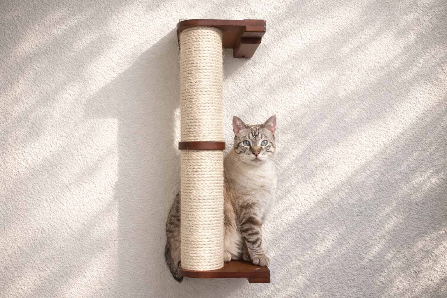 Wall Mounted Cat Climbing Pole - Sisal