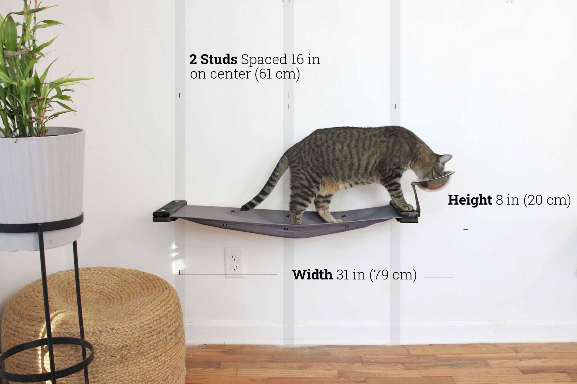 Dog Proof Cat Feeder - Wall-Mounted - Raised