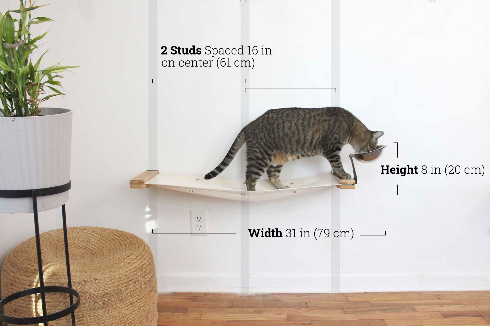 Dog Proof Cat Feeder - Wall-Mounted - Raised