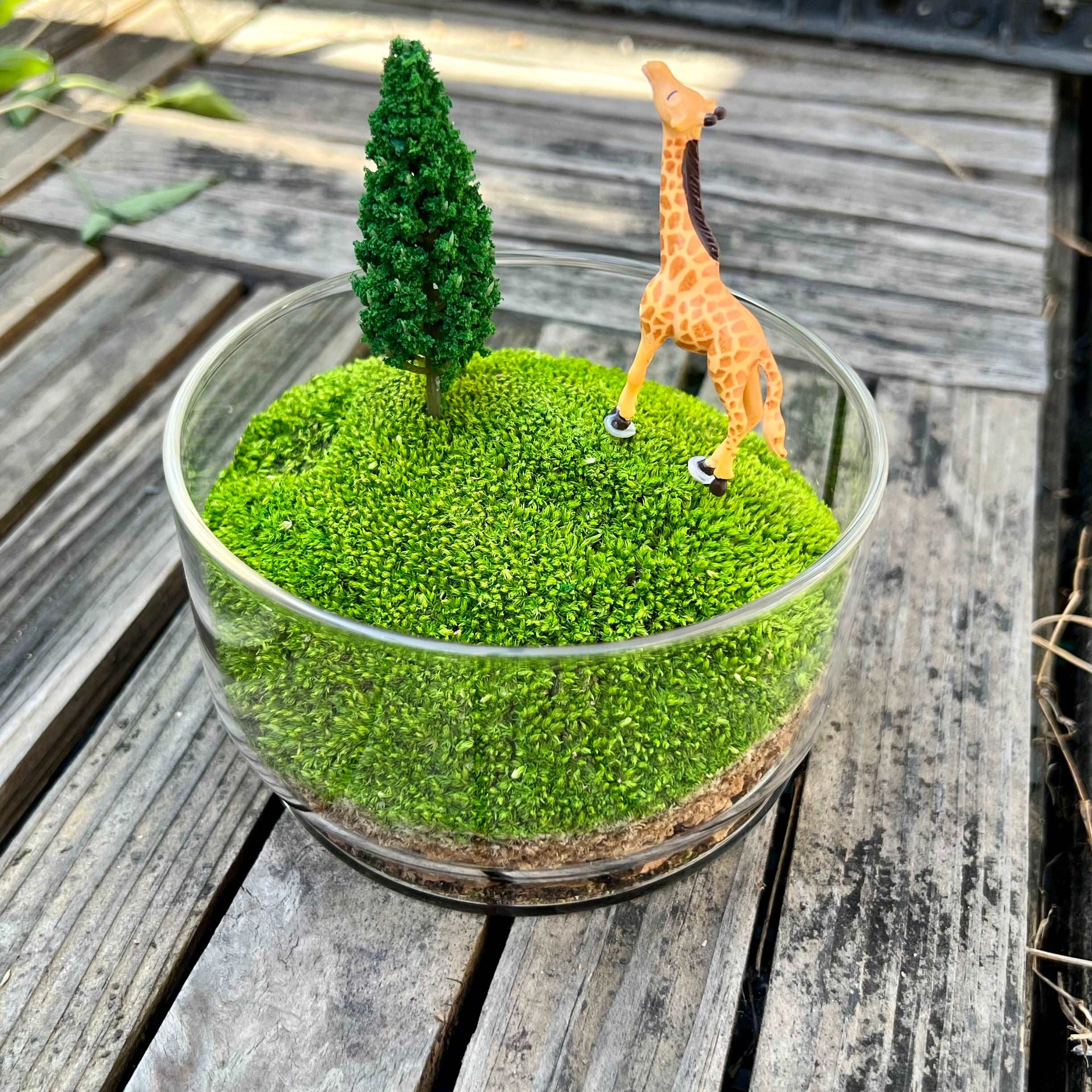 Handmade Terrarium Mini Giraffe Desktop Decoration Micro Landscape Lawn Handmade Preserved Moss Art Handcrafted Glass Container