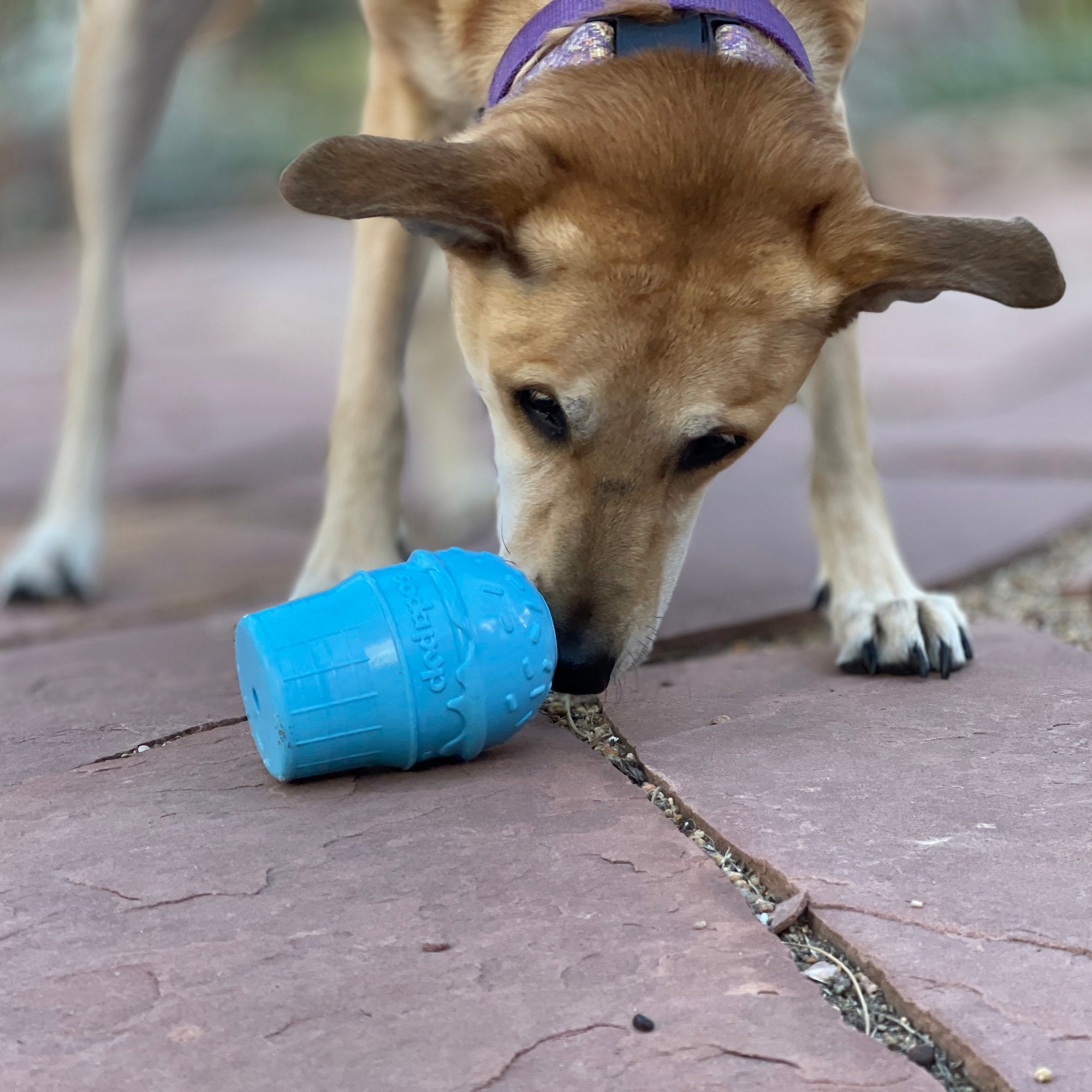 Ice Cream Cone Durable PUP-X Rubber Chew Toy and Treat Dispenser