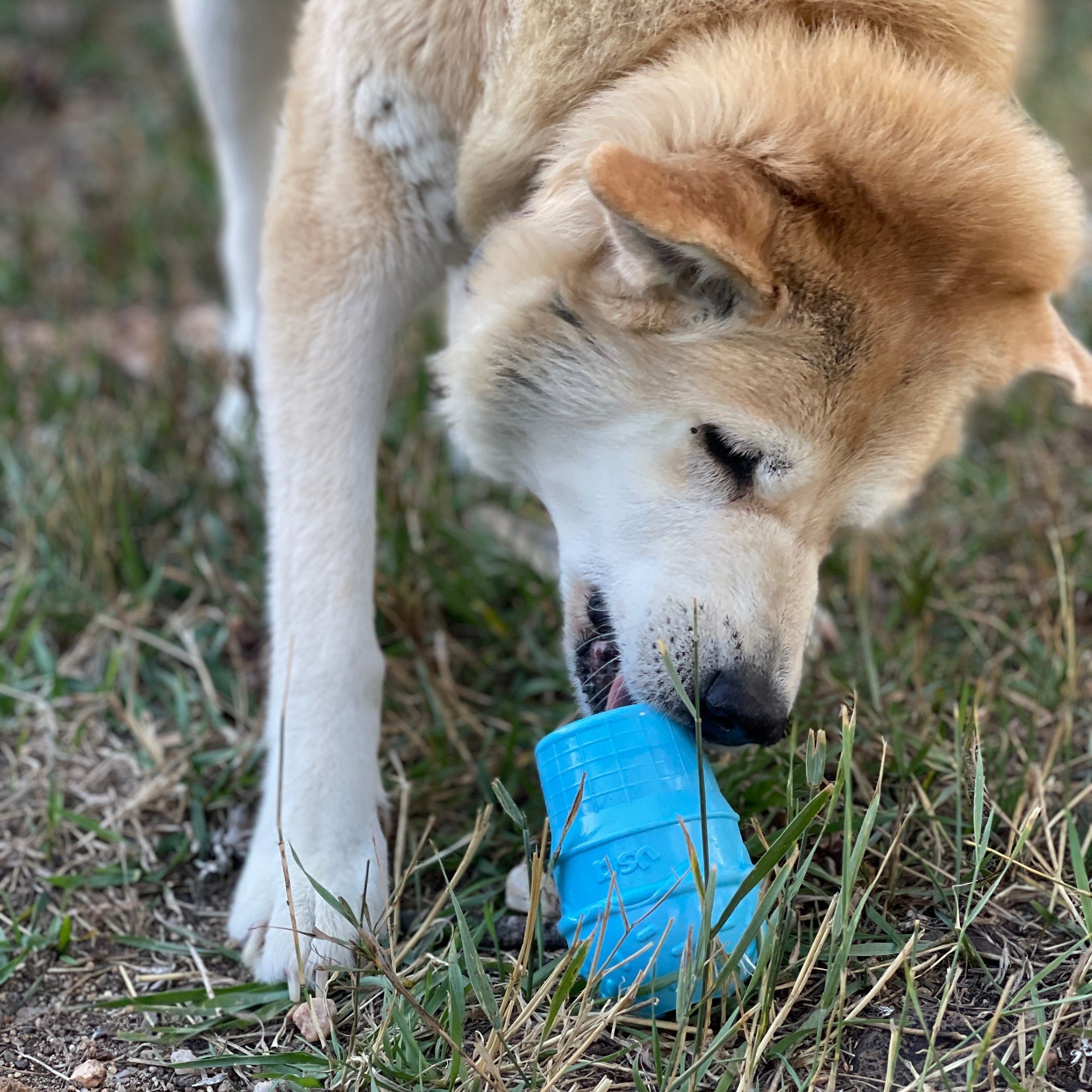 Ice Cream Cone Durable PUP-X Rubber Chew Toy and Treat Dispenser