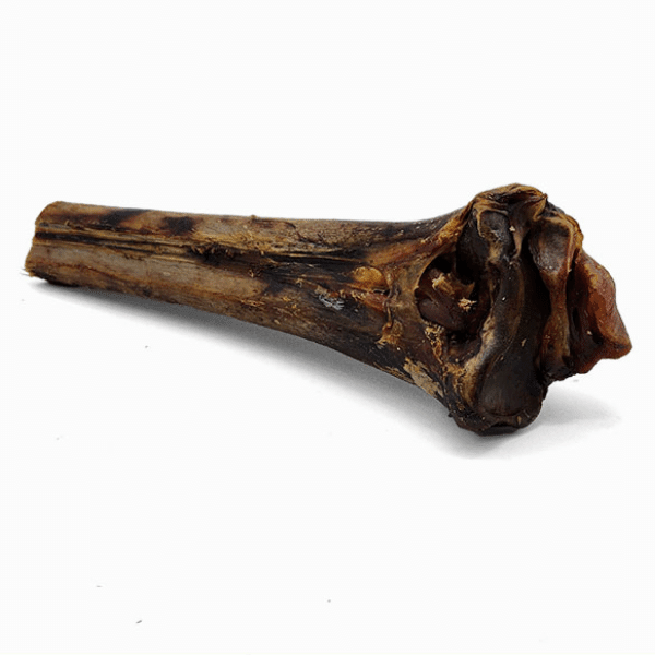 Large Ostrich Cane (11.5