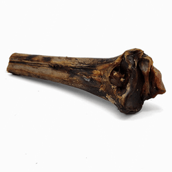 Large Ostrich Cane (11.5" x 5"): The Ultimate Long-Lasting Chew for Medium, Large & XL Dogs