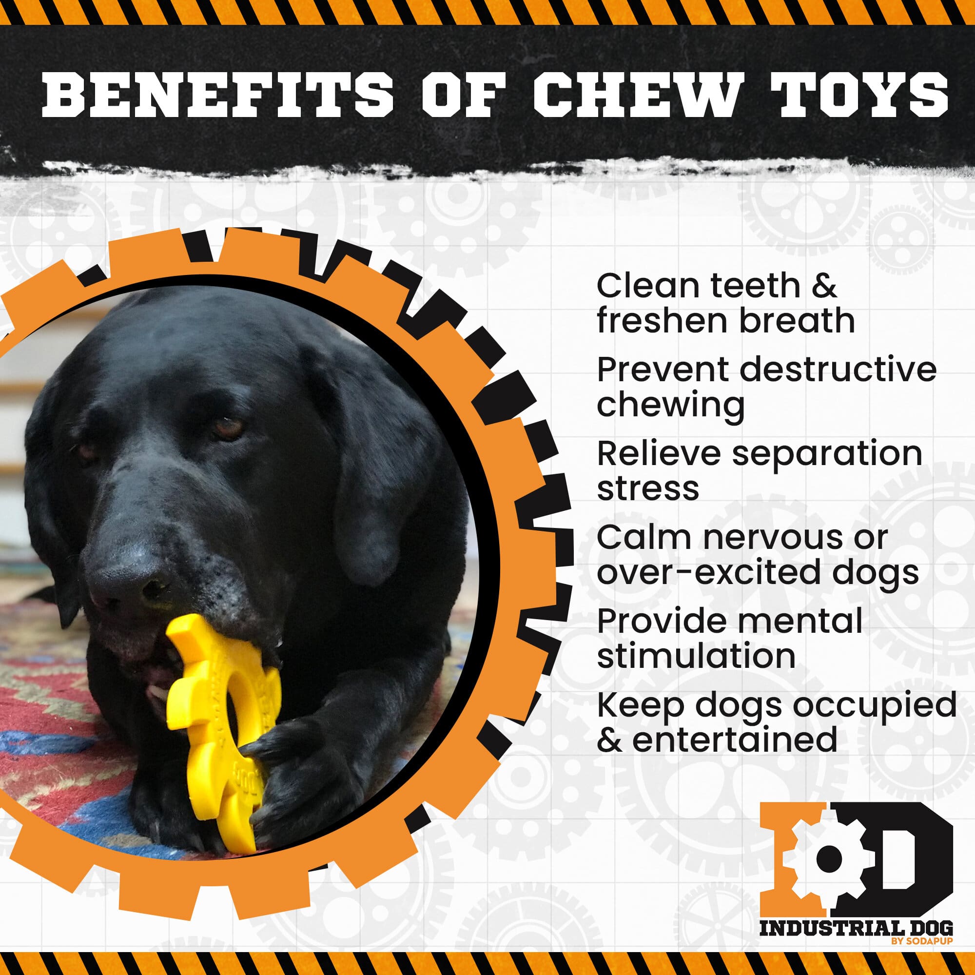 Circular Saw Blade  Ultra Durable Nylon Dog Chew Toy