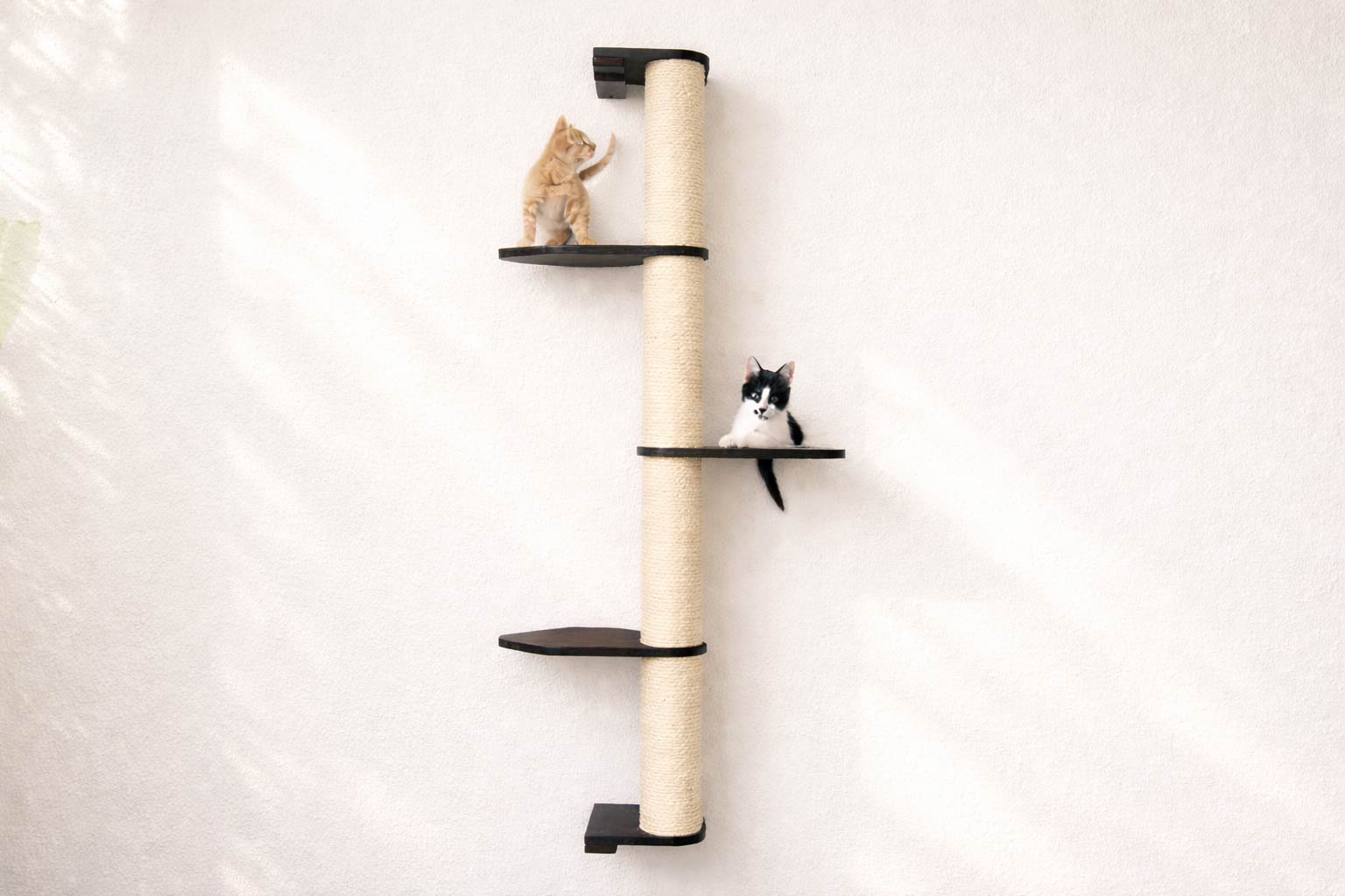 Wall Mounted Cat Climbing Pole - Sisal