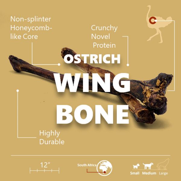 Ostrich Wing Bone (13