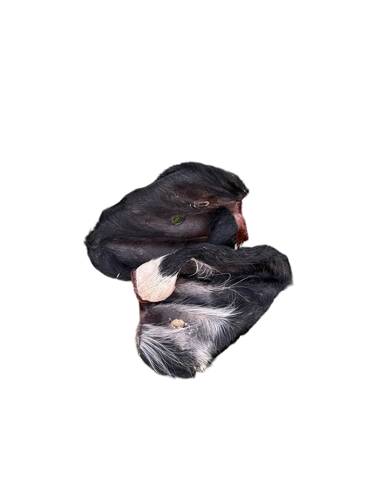 Dehydrated Beef Ears with Hair