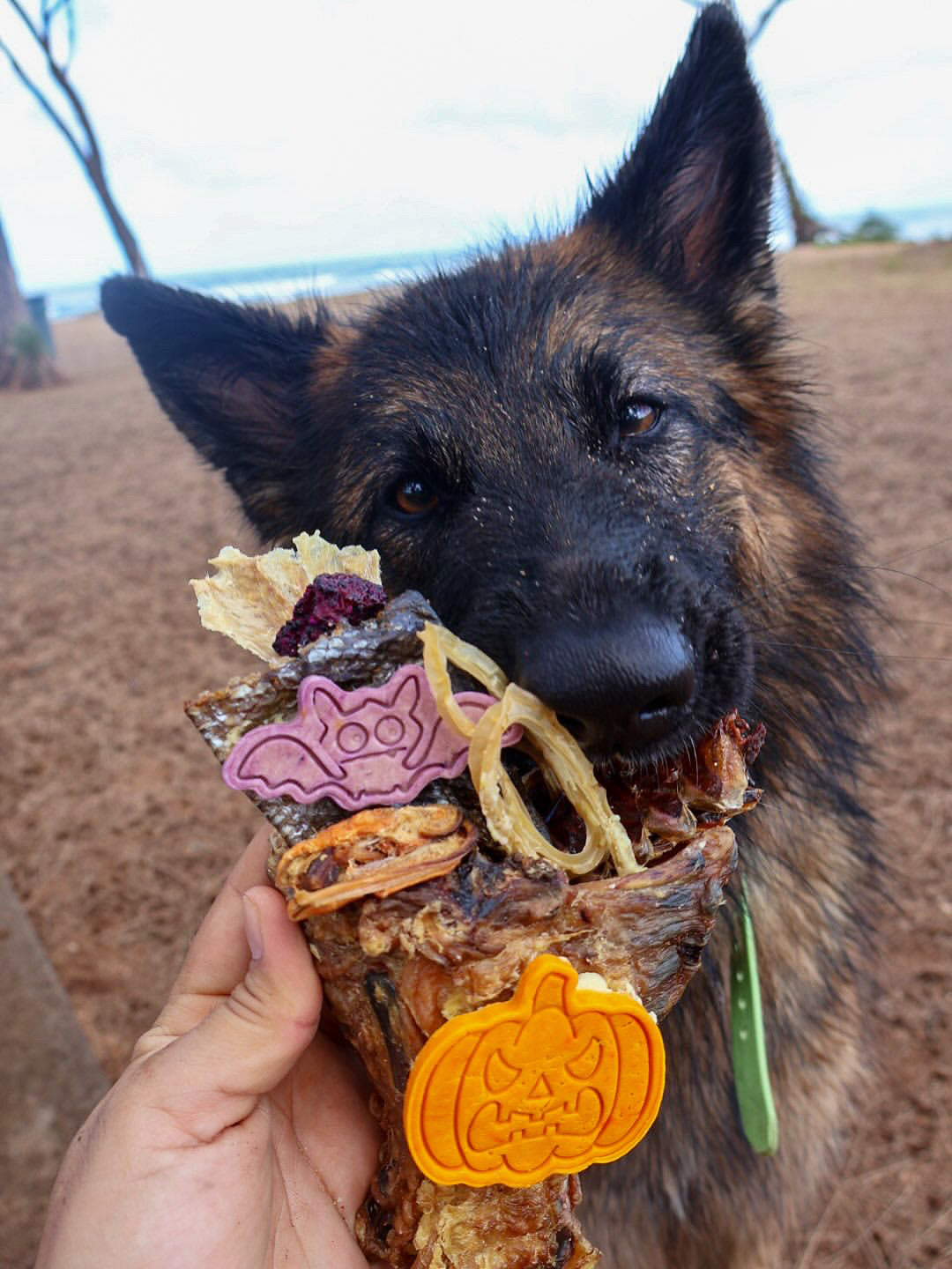 Chicken Frames (Chunked)