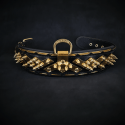 The ''Midas'' Collar Gold