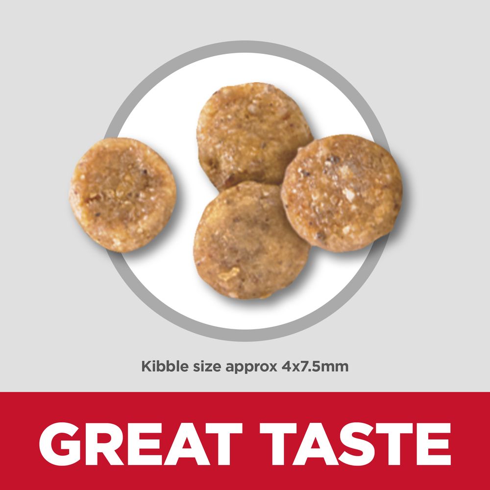 Hill's Science Diet Adult Sensitive Stomach & Skin Small & Mini Chicken Recipe Dry Dog Food Bag