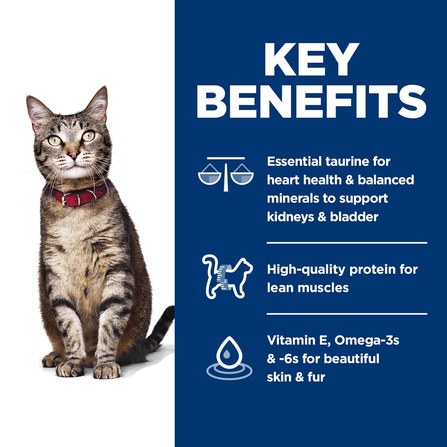 Hill's Science Diet Adult Chicken Recipe Dry Cat Food Bag (4lb)