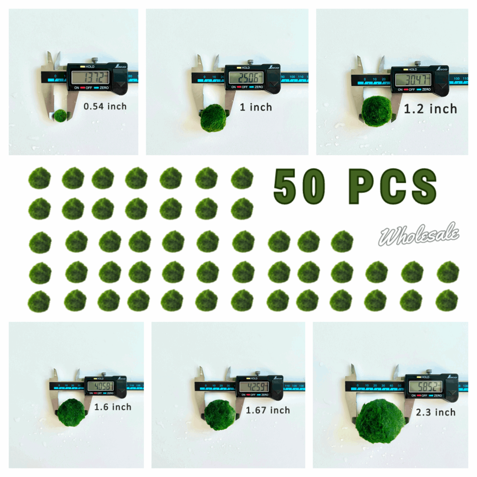 Marimo Moss Ball Aquarium 6-12 Month 0.8-1.5cm Marimo Moss Balls: 5/10/20/50PCS