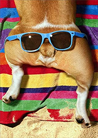 Avanti Dog/Glasses/Butt Greeting Card