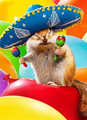 Avanti Chipmunk Sombrero Greeting Card
