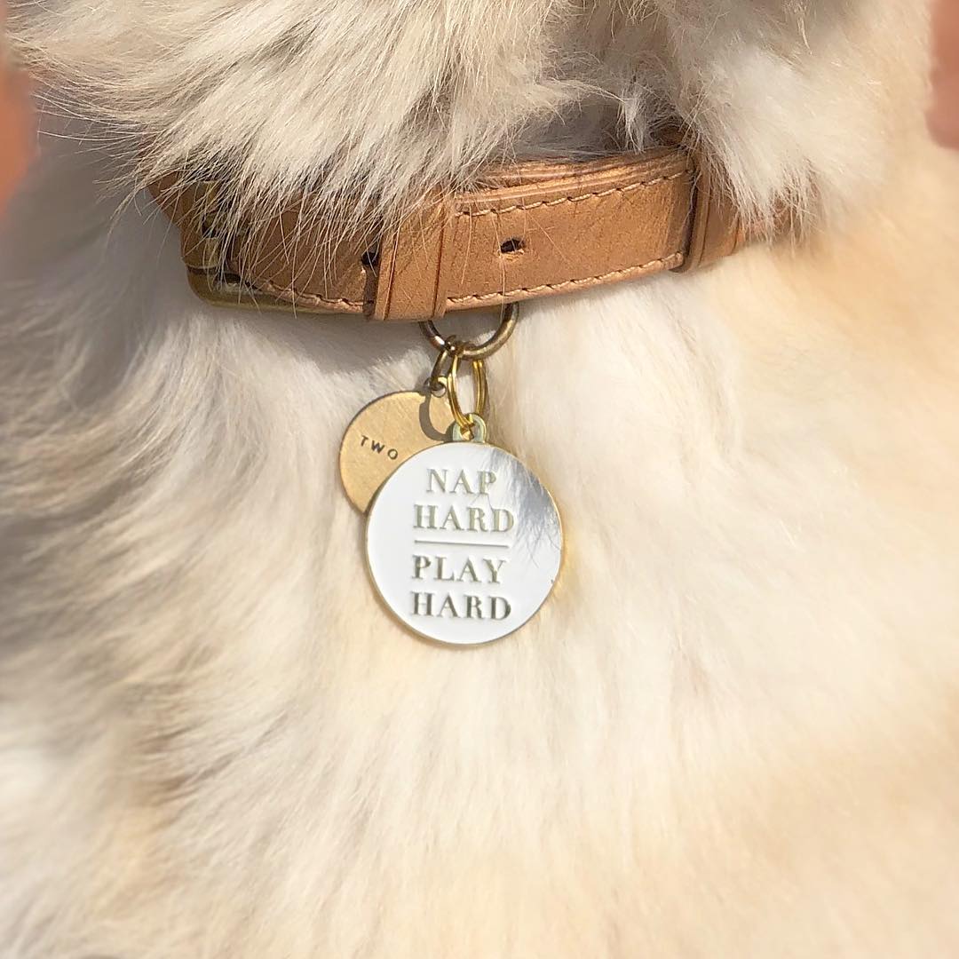 Nap Hard, Play Hard Pet ID Tag