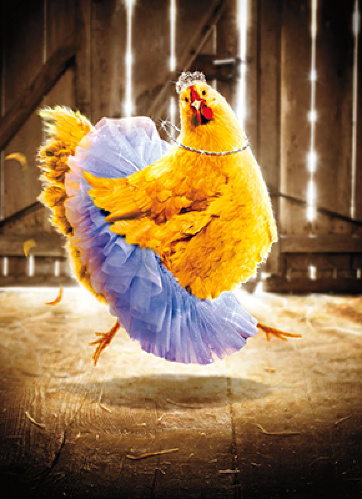 Avanti Chicken Ballerina Greeting Card