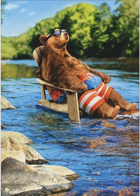 Avanti Bear In Lounge Chair Greeting Card