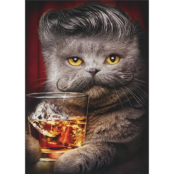 Avanti Gray Cat With Mustache Greeting Card