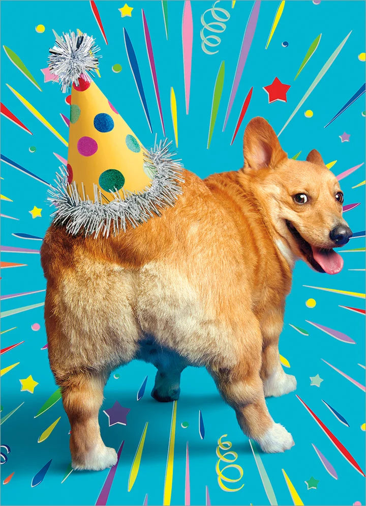 Avanti Corgi Butt Birthday Hat-Embel Greeting Card