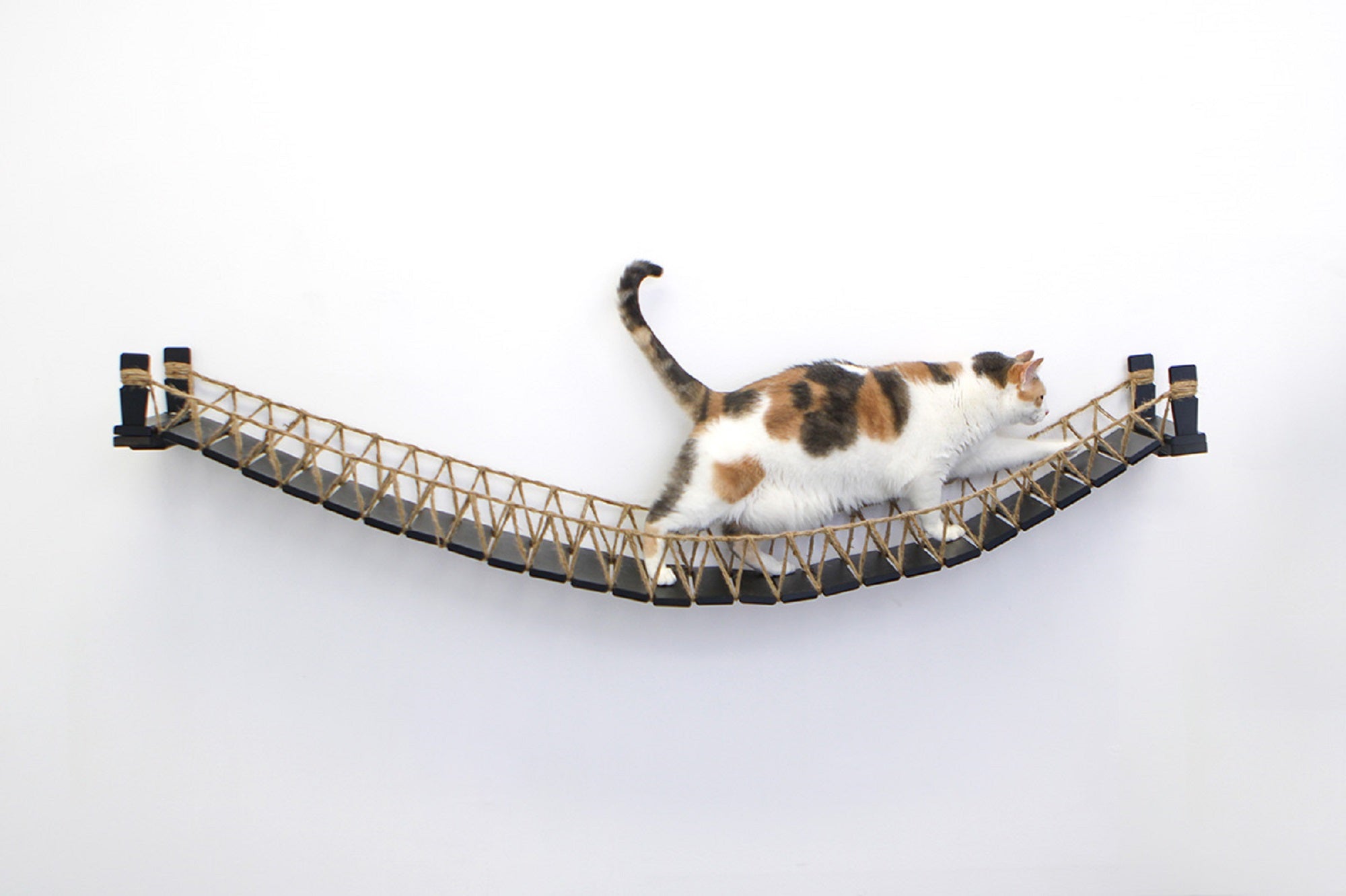 Cat Bridge for Wall