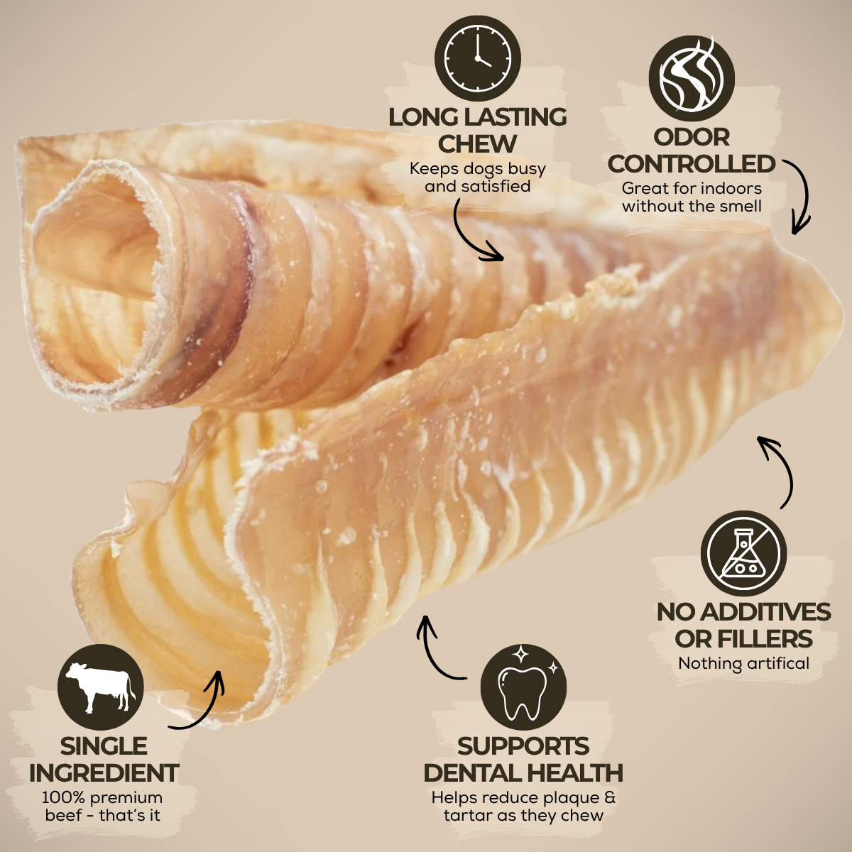 6 Inch Beef Trachea