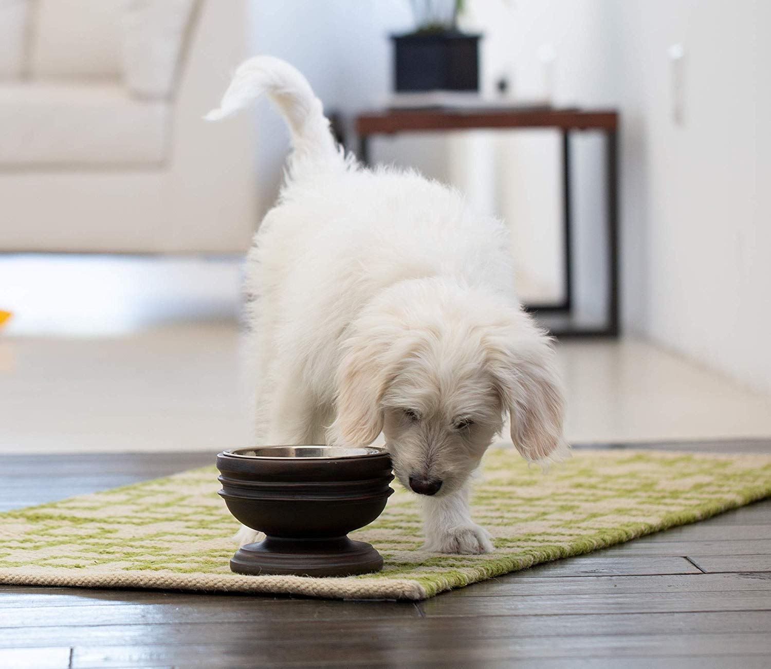 Summit Elevated Dog Bowl