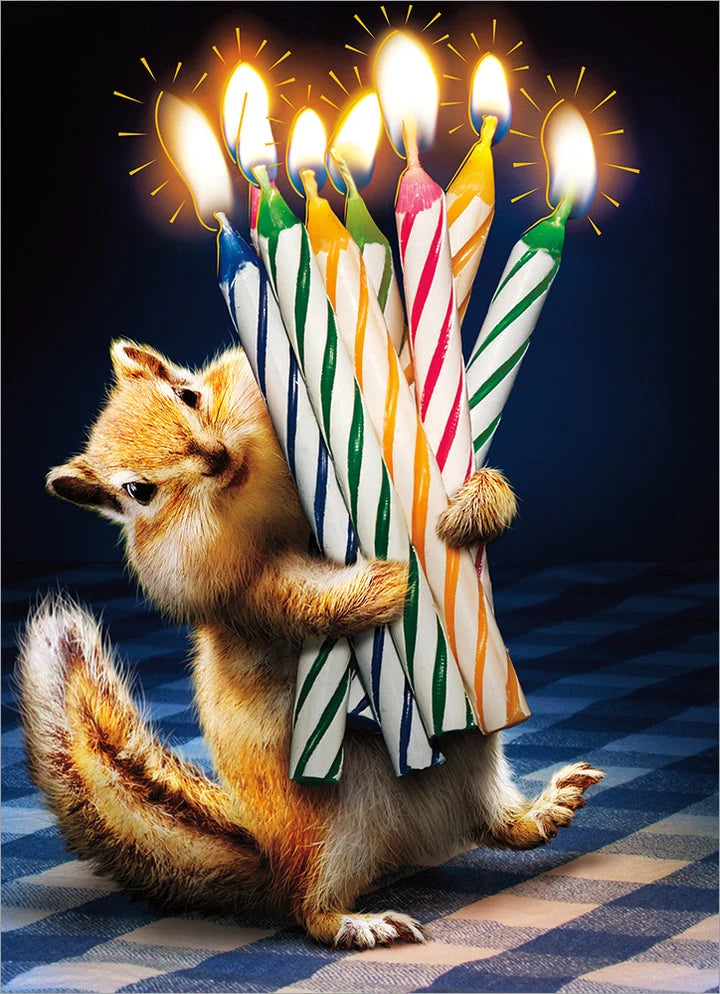 Avanti Chipmunk Birthday Candles Greeting Card