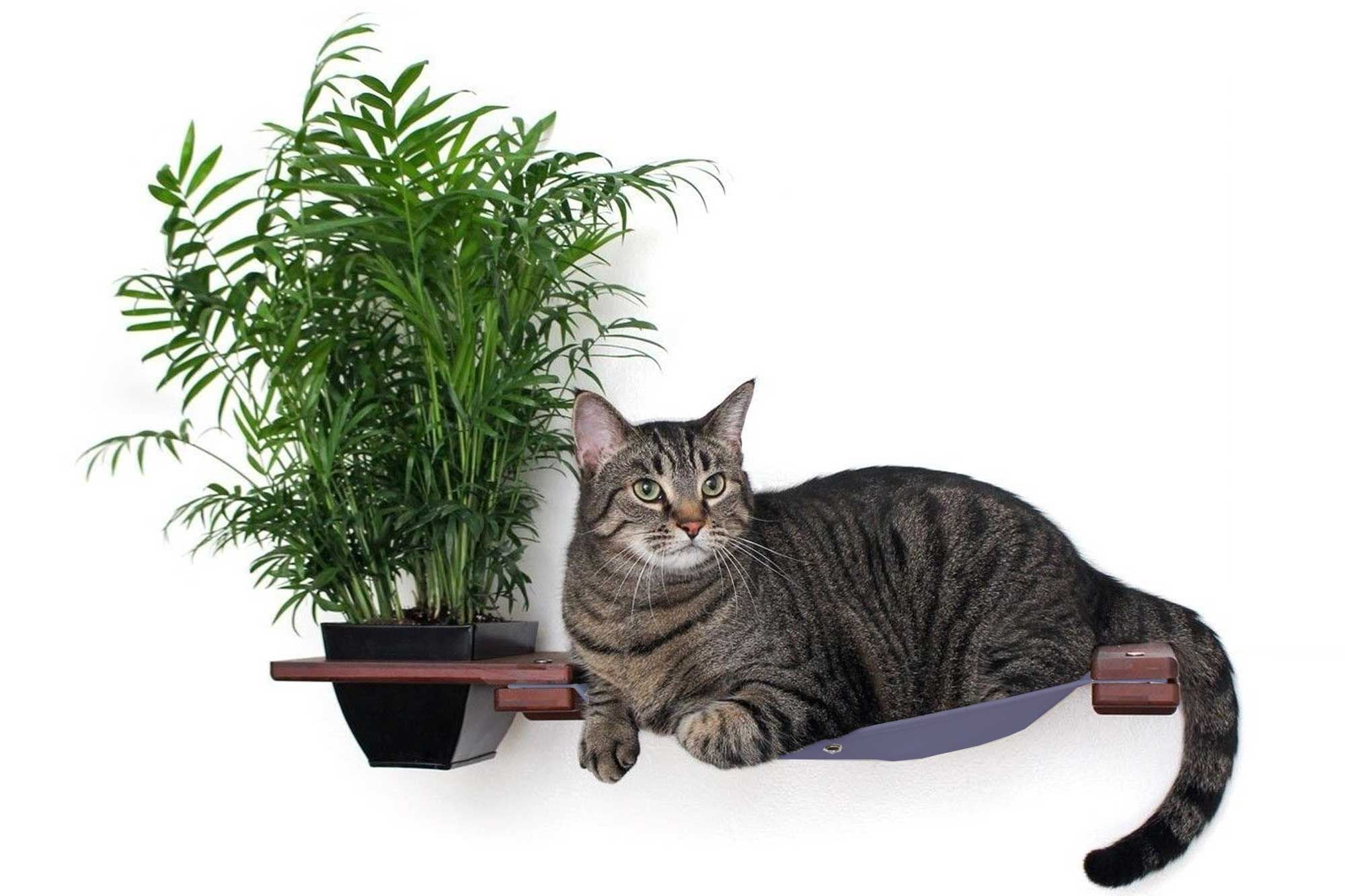 Cat Hammock Wall with Planter