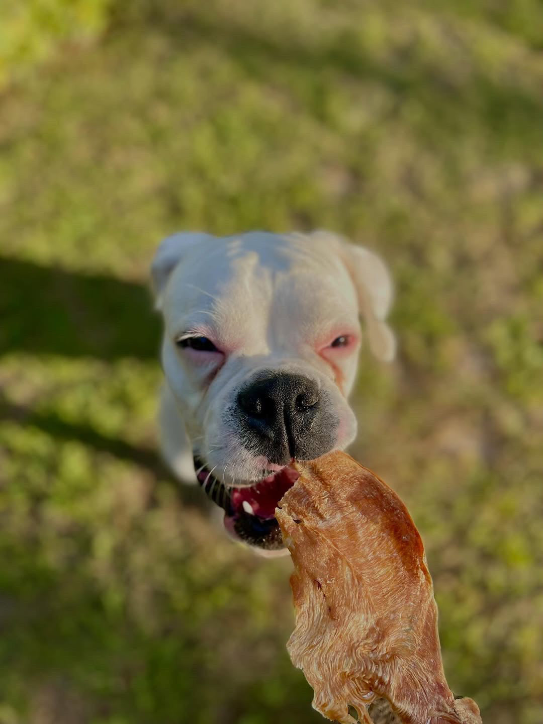 Chicken Breast (Fat Trimmed) - Thin Cut