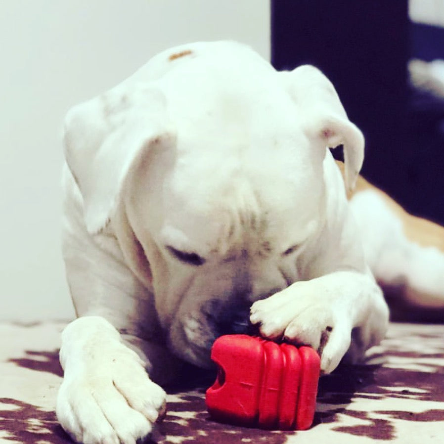 Large Rubber Heart on a String Toy