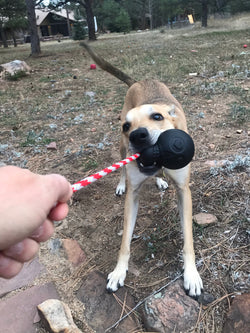 USA-K9 Magnum Skull Durable Rubber Chew Toy, Treat Dispenser, Reward Toy, Tug Toy, and Retrieving Toy - Black Magnum