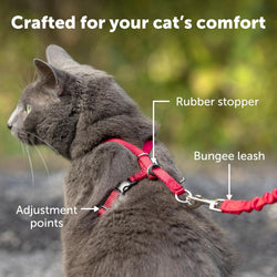 Come With Me Kitty Cat Harness & Bungee Leash Large Black