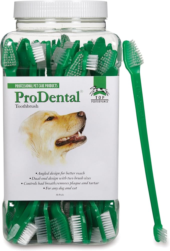 Pro Dental Dual End Toothbrush