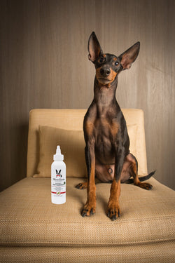 Instant Ear Cleaner For Dogs 4 oz or 12 oz - Removes Wax and Odor