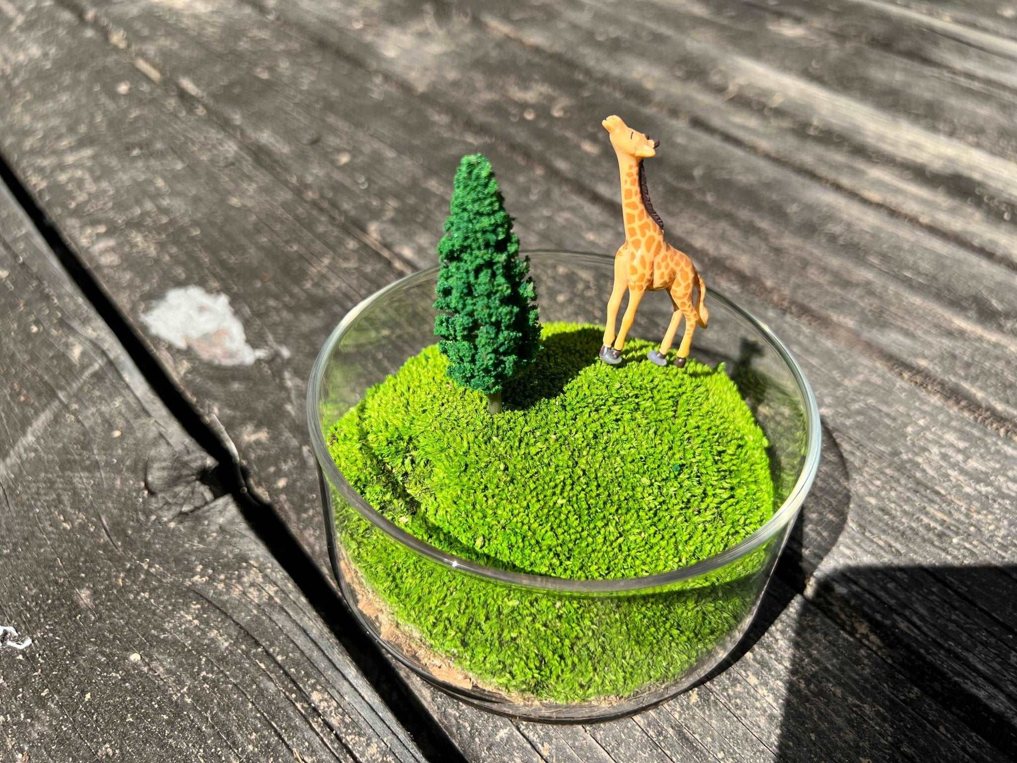Handmade Terrarium Mini Giraffe Desktop Decoration Micro Landscape Lawn Handmade Preserved Moss Art Handcrafted Glass Container