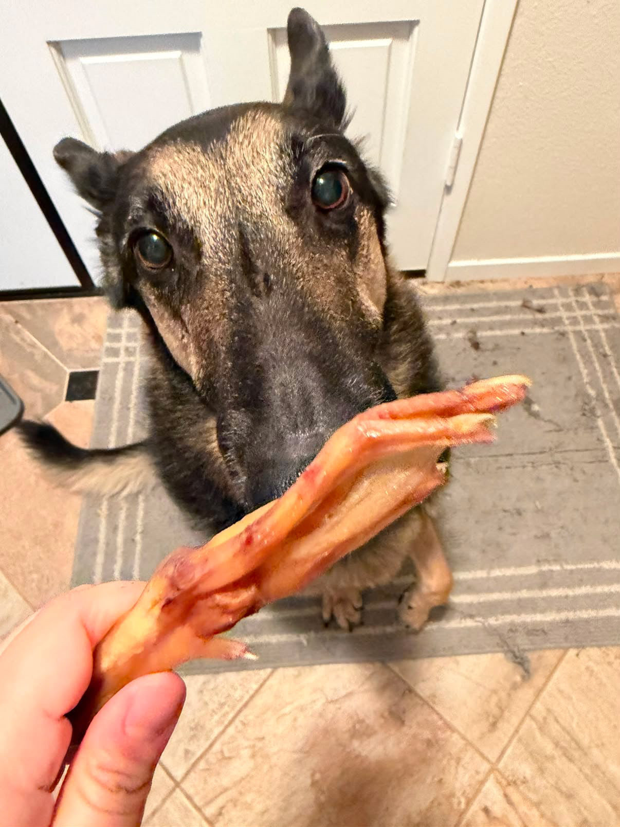 Duck Feet (ABF)