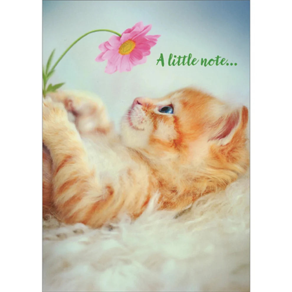 Avanti Cat Holding Flowers Photo Greeting Card